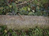 image of grave number 798439